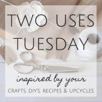 Two Uses Tuesday Blog Party