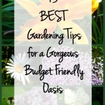13 Best Gardening Tips
