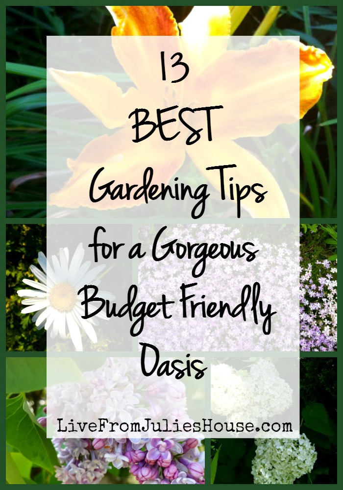 13 Best Gardening Tips for a Gorgeous Budget Friendly Oasis