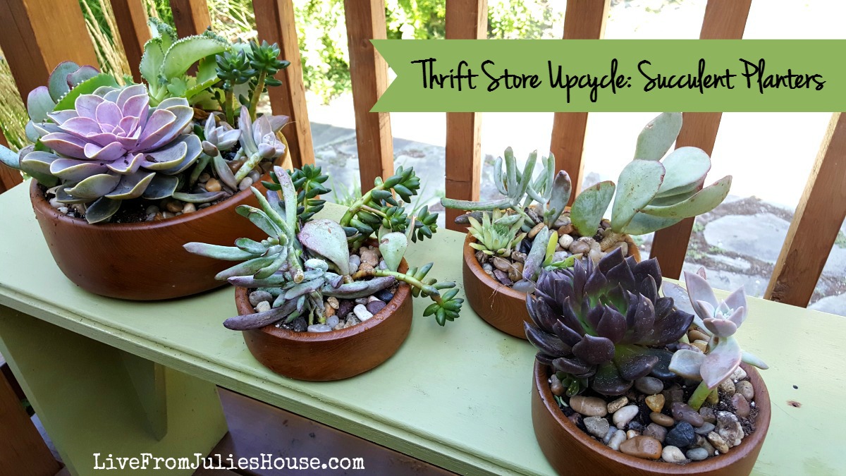 Thrift Store Upcycle: Succulent Planters